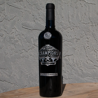 Houston Astros 2022 World Champions Etched Wine Bottle