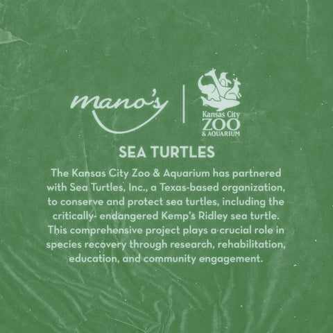 Sea Turtle Blanc de Blanc