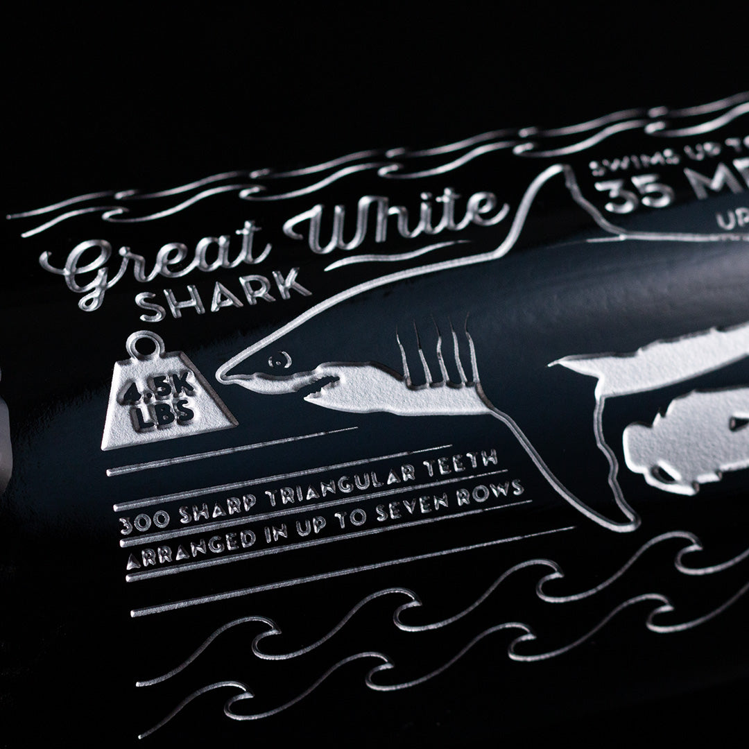 Shark Facts Collectors Pack – Mano's Wine