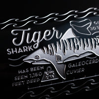 Tiger Shark Facts Etched Wine Bottle