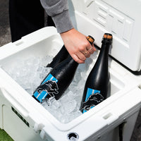 Detroit Lions Matte Black Bubbly