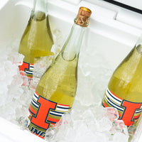 University of Illinois Bubbly