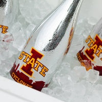 Iowa State University Skyline Metallic Silver Bubbly
