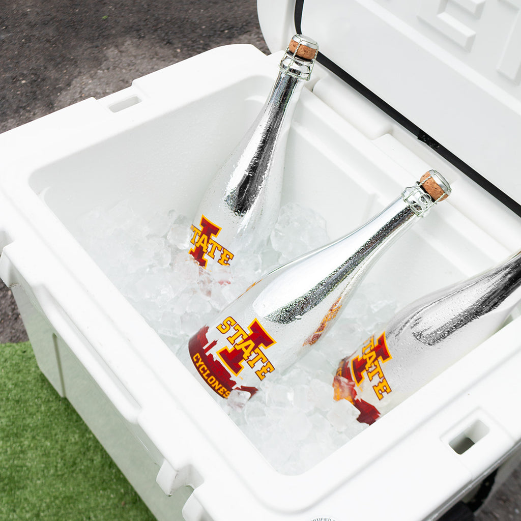 Iowa State University Skyline Metallic Silver Bubbly