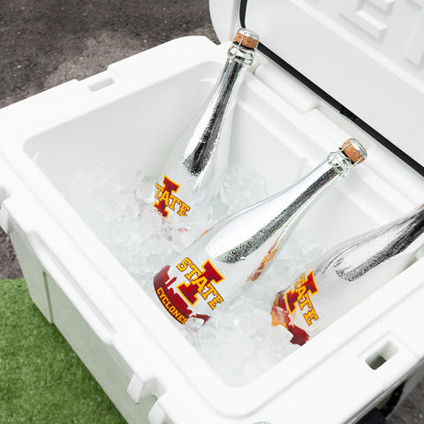 Iowa State University Skyline Metallic Silver Bubbly