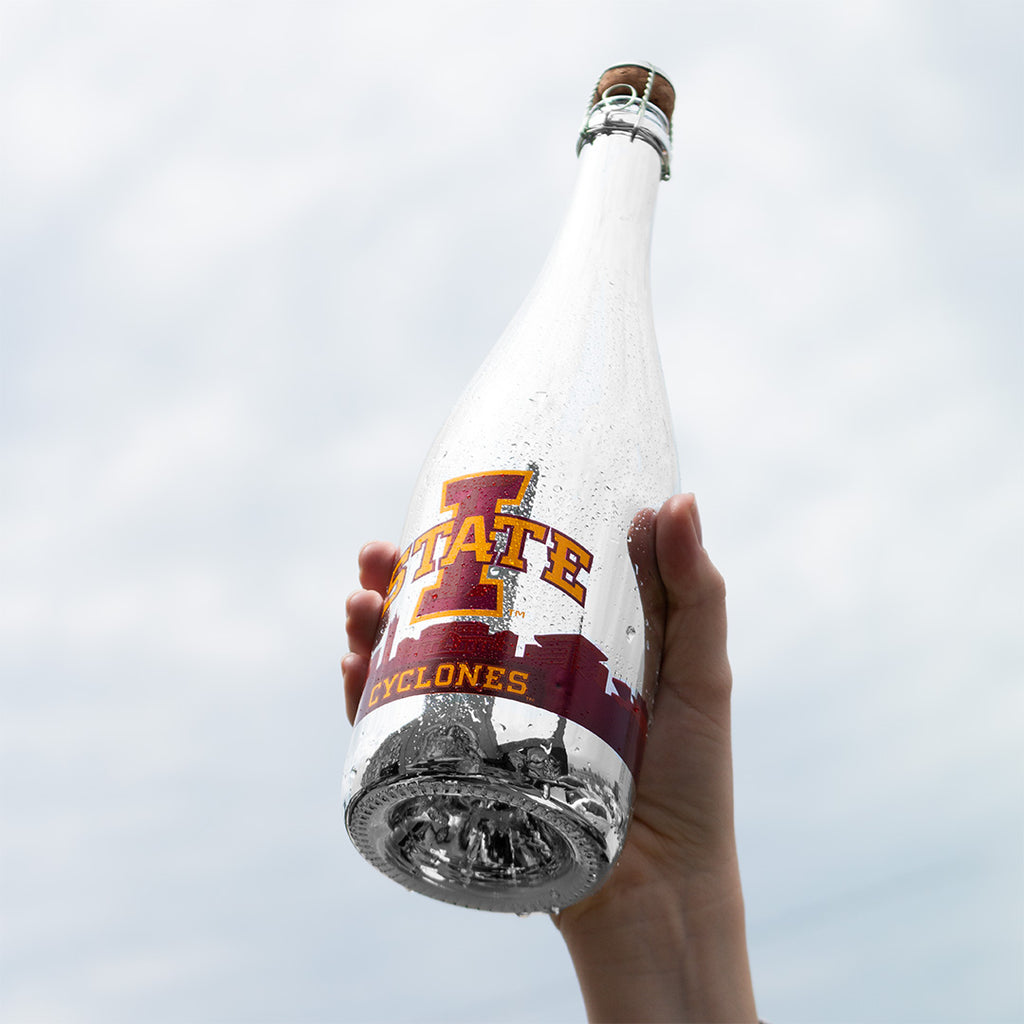 Iowa State University Skyline Metallic Silver Bubbly