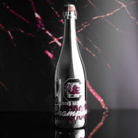 South Carolina 2024 Women's Basketball Champions Metallic Silver Bubbly