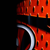 Cincinnati Bengals Logo Etched Wine