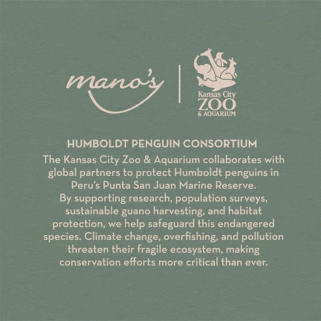 Humboldt Penguin Blanc de Blanc