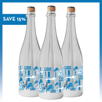 Mano's Wine Detroit Lions Logo Evolution Metallic Silver Bubbly wine bottle featuring "SAVE 15%" text