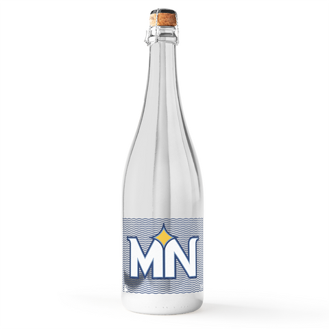 Minnesota Twins City Connect Silver Bubbly