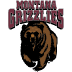 Montana Grizzlies 