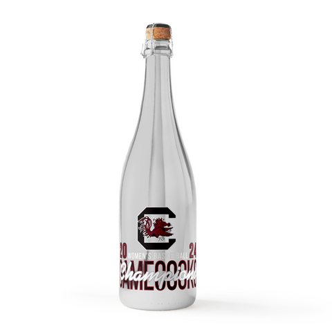 South Carolina 2024 Women's Basketball Champions Metallic Silver Bubbly
