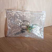 Christmas Tree Wine Stopper