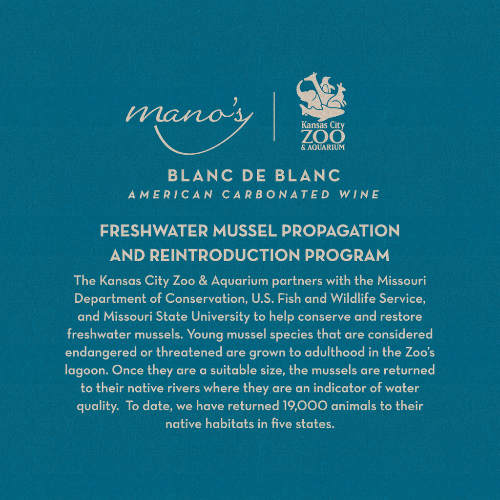 Freshwater Mussels Blanc de Blanc