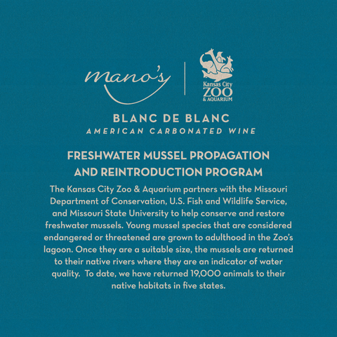 Freshwater Mussels Blanc de Blanc