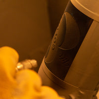 Mr & Mrs Custom Etched Wine Bottle