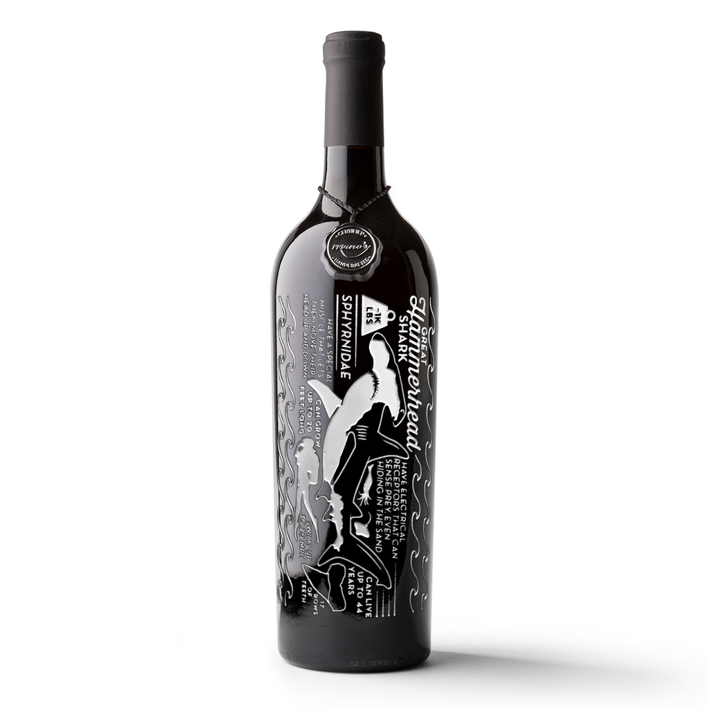 Hammerhead Shark Facts Etched Wine Bottle