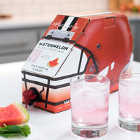 Cleveland Browns Watermelon Wine Cocktail Box