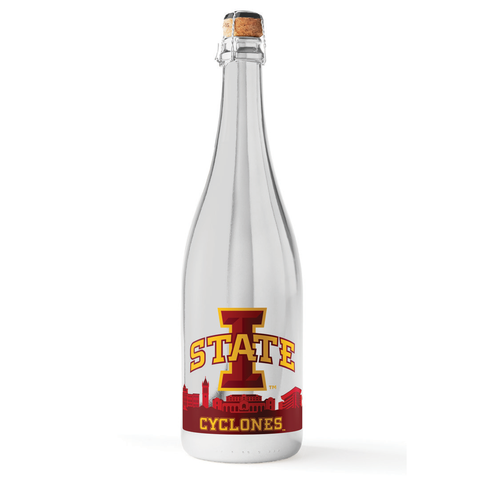 Iowa State University Skyline Metallic Silver Bubbly